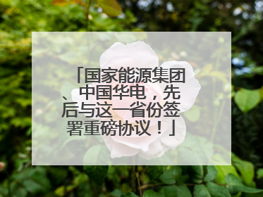 国家能源集团、中国华电，先后与这一省份签署重磅协议！