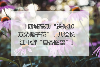 四城联动“送你10万朵栀子花”，共绘长江中游“夏香图景”