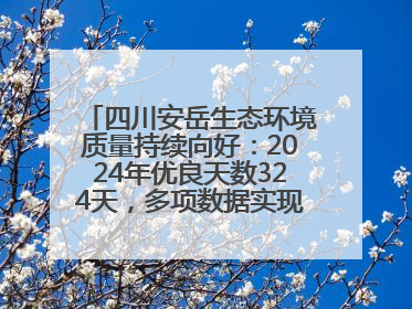 四川安岳生态环境质量持续向好：2024年优良天数324天，多项数据实现100%