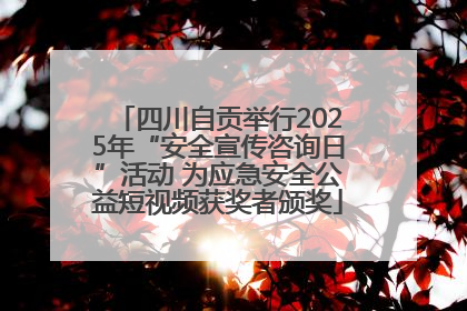 四川自贡举行2025年“安全宣传咨询日”活动 为应急安全公益短视频获奖者颁奖