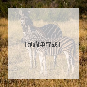 地盘争夺战