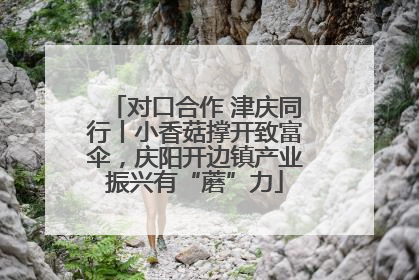 对口合作 津庆同行丨小香菇撑开致富伞，庆阳开边镇产业振兴有“蘑”力