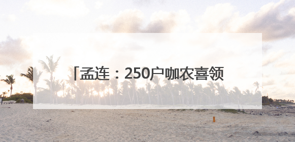 孟连：250户咖农喜领1605万元咖啡鲜果款