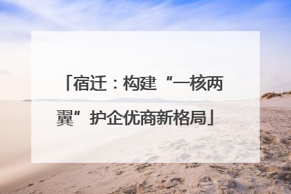 宿迁：构建“一核两翼”护企优商新格局