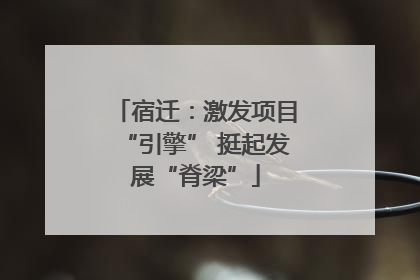 宿迁：激发项目“引擎” 挺起发展“脊梁”