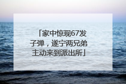 家中惊现67发子弹，遂宁两兄弟主动来到派出所