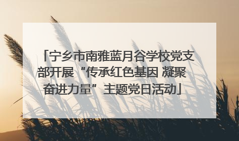 宁乡市南雅蓝月谷学校党支部开展“传承红色基因 凝聚奋进力量”主题党日活动