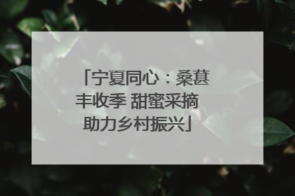 宁夏同心：桑葚丰收季 甜蜜采摘助力乡村振兴