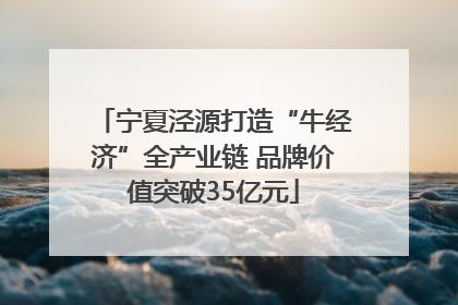 宁夏泾源打造“牛经济”全产业链 品牌价值突破35亿元