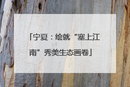 宁夏：绘就“塞上江南”秀美生态画卷