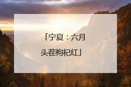 宁夏：六月头茬枸杞红