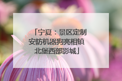 宁夏：景区定制安防机器狗亮相镇北堡西部影城