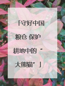 守好中国粮仓 保护耕地中的“大熊猫”