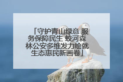 守护青山绿意 服务保障民生 蛟河森林公安多维发力绘就生态惠民新画卷