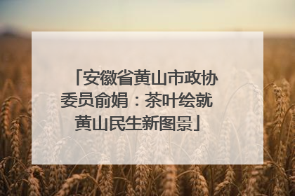 安徽省黄山市政协委员俞娟：茶叶绘就黄山民生新图景