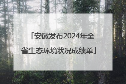 安徽发布2024年全省生态环境状况成绩单