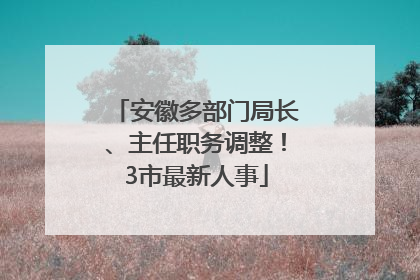 安徽多部门局长、主任职务调整！3市最新人事