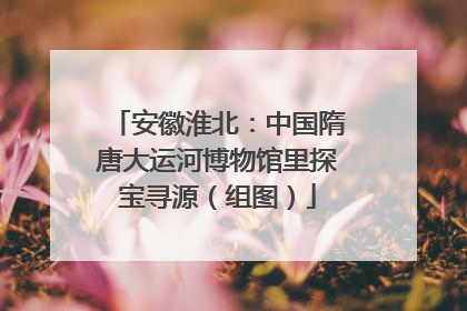 安徽淮北：中国隋唐大运河博物馆里探宝寻源（组图）