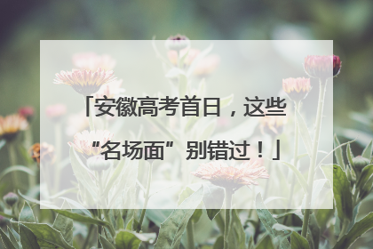 安徽高考首日，这些“名场面”别错过！