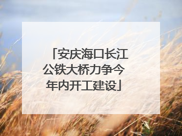 安庆海口长江公铁大桥力争今年内开工建设