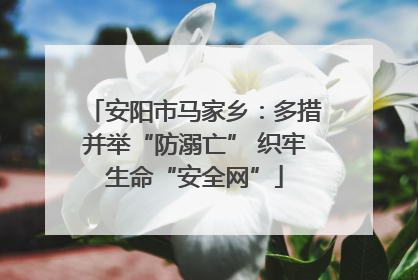安阳市马家乡：多措并举“防溺亡” 织牢生命“安全网”