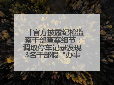 官方披露纪检监察干部查案细节：调取停车记录发现3名干部假“办事”真麻将