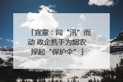 宜章：闻“汛”而动 政企携手为烟农撑起“保护伞”