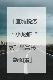 宜城税务：小龙虾“烹”出富民新图景