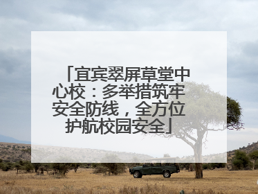 宜宾翠屏草堂中心校：多举措筑牢安全防线，全方位护航校园安全
