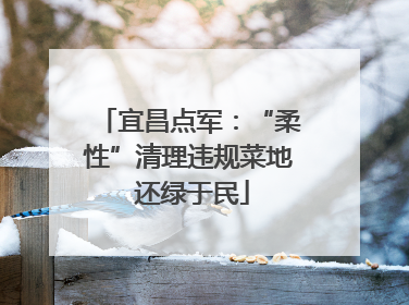 宜昌点军：“柔性”清理违规菜地 还绿于民