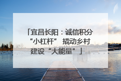 宜昌长阳：诚信积分“小杠杆” 撬动乡村建设“大能量”