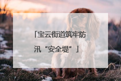 宝云街道筑牢防汛“安全堤”
