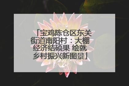 宝鸡陈仓区东关街道南阳村：大棚经济结硕果 绘就乡村振兴新图景