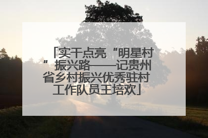 实干点亮“明星村”振兴路——记贵州省乡村振兴优秀驻村工作队员王培欢