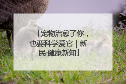 宠物治愈了你，也要科学爱它｜新民·健康新知
