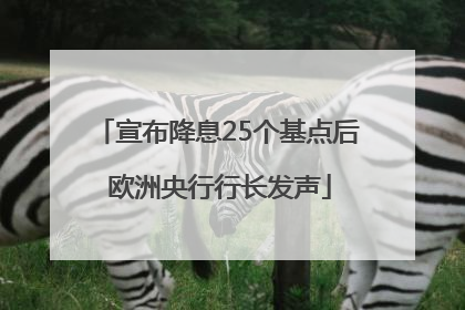 宣布降息25个基点后 欧洲央行行长发声