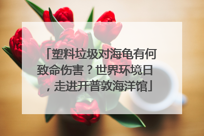 塑料垃圾对海龟有何致命伤害？世界环境日，走进开普敦海洋馆