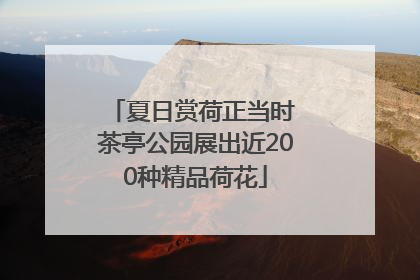 夏日赏荷正当时 茶亭公园展出近200种精品荷花