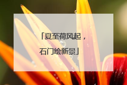 夏至荷风起，石门绘新景