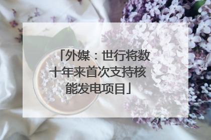 外媒：世行将数十年来首次支持核能发电项目