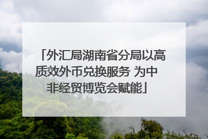 外汇局湖南省分局以高质效外币兑换服务 为中非经贸博览会赋能