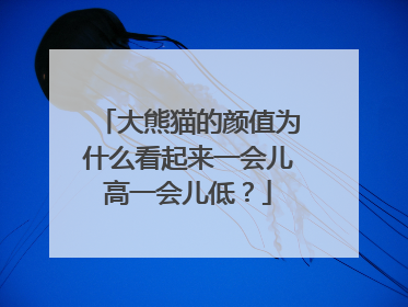 大熊猫的颜值为什么看起来一会儿高一会儿低？