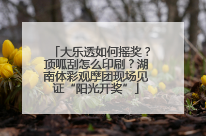 大乐透如何摇奖？顶呱刮怎么印刷？湖南体彩观摩团现场见证“阳光开奖”