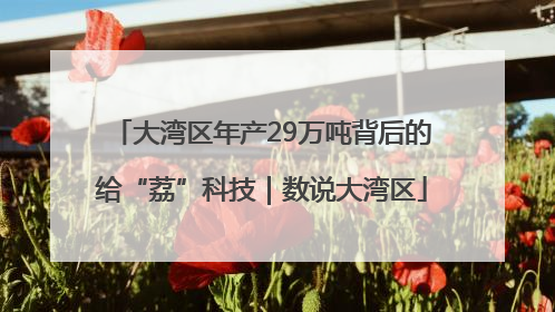 大湾区年产29万吨背后的给“荔”科技｜数说大湾区