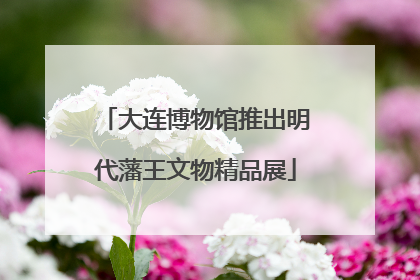 大连博物馆推出明代藩王文物精品展