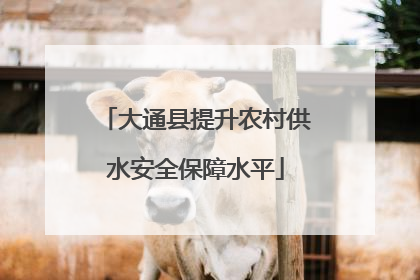 大通县提升农村供水安全保障水平