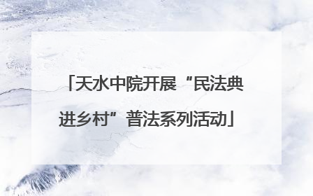天水中院开展“民法典进乡村”普法系列活动