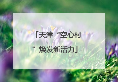 天津“空心村”焕发新活力