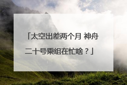 太空出差两个月 神舟二十号乘组在忙啥？