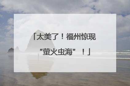 太美了！福州惊现“萤火虫海”！